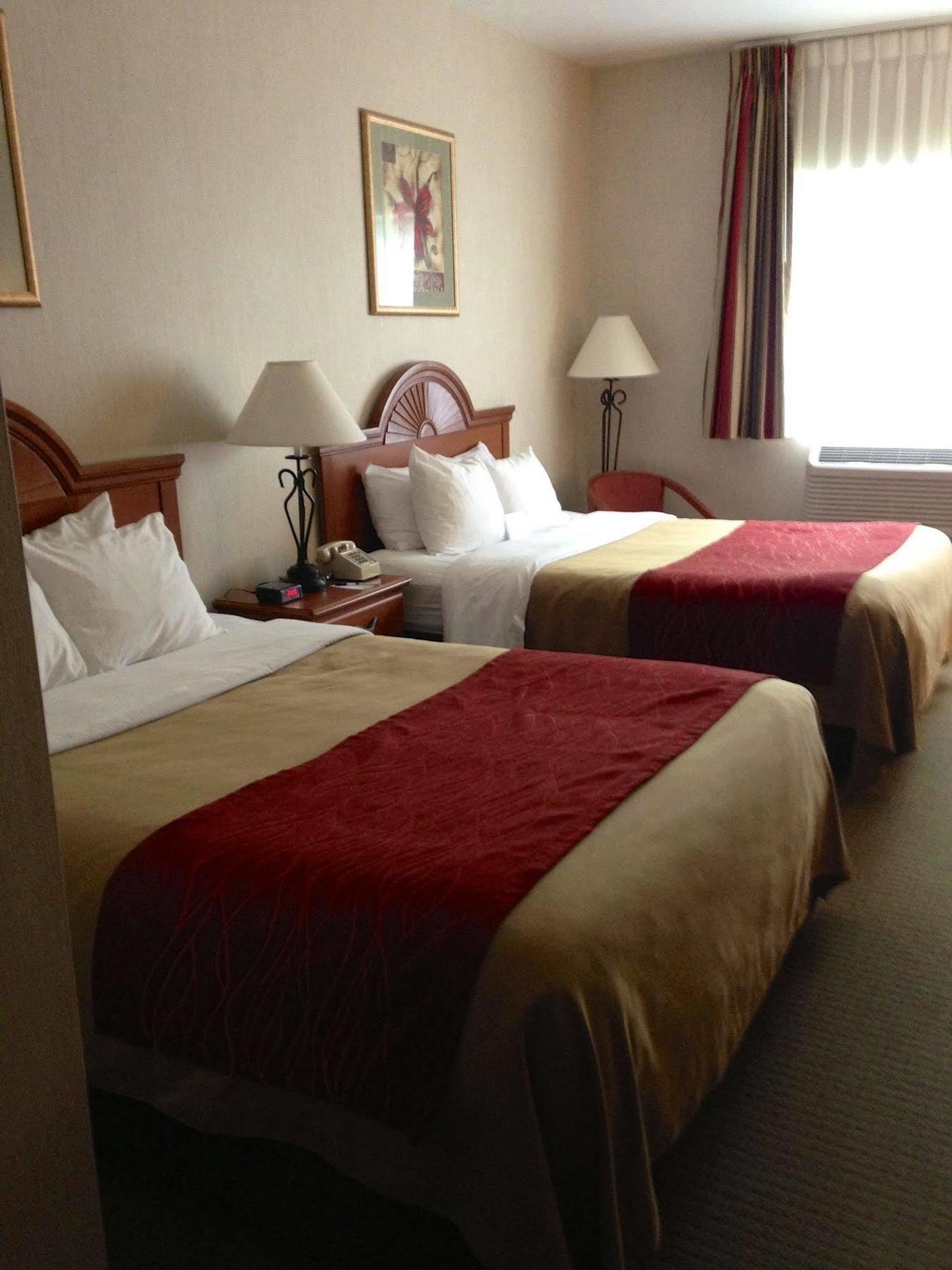 Comfort Inn Ellsworth - Bar Harbor Kültér fotó